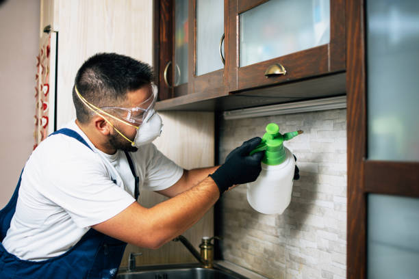 Reliable Peralta, NM Pest Control Solutions