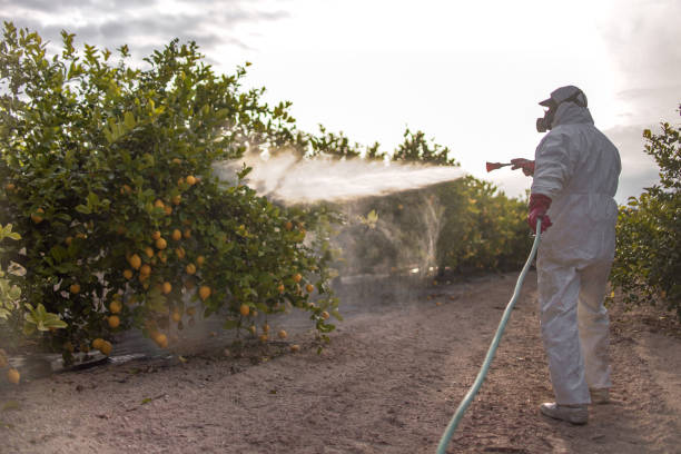 Professional Pest Control in Peralta, NM