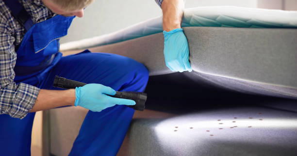 Best Bed Bug Extermination  in Peralta, NM