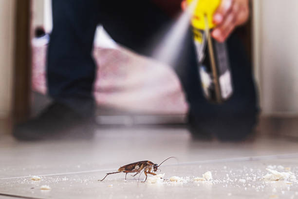 Best Pest Control Treatment  in Peralta, NM
