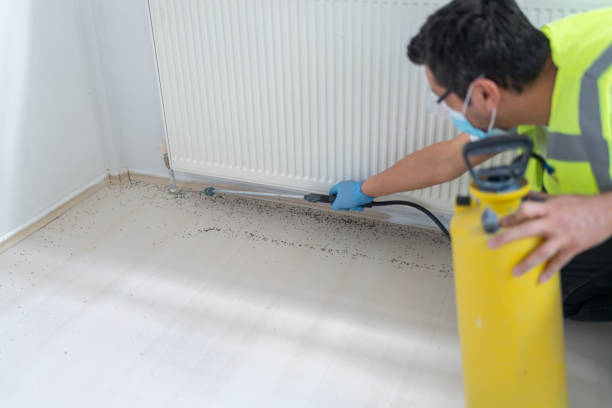 Pest Control for Restaurants in Peralta, NM
